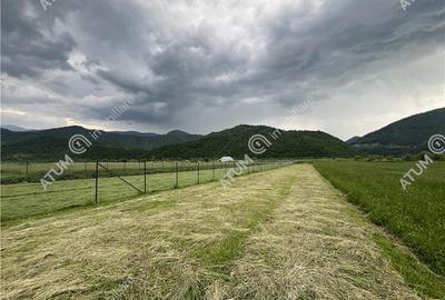 Teren intravilan de 3477 mp cu deschidere de 35 m in Boita - 5