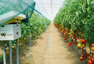 🌱 FERMĂ AGRICOLĂ MODERNĂ, COMPLET ECHIPATĂ ȘI AUTOMATIZATĂ – DE VÂNZARE - 6