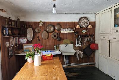 Moșia boierească din vârf de deal, Scorțeni - Prahova, comision 0% - 13