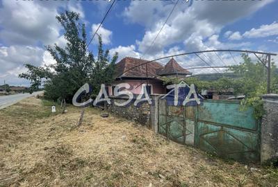 Casa 3 Camere + Teren aferent (5385mp) si Anexe, Balcesti - 2