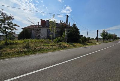 Constructii la strada in Cucorani pe 1 ha de teren - 3