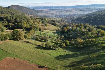 Teren intravilan de 1400 mp in Suncuius, de vanzare, Bihor - 5