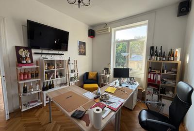 VILA LOCATIE UNICA GRADINA ICOANEI - 8