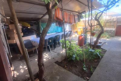 Km. 5 - Viile Noi, casa 4 camere, libera, pe colt - 3
