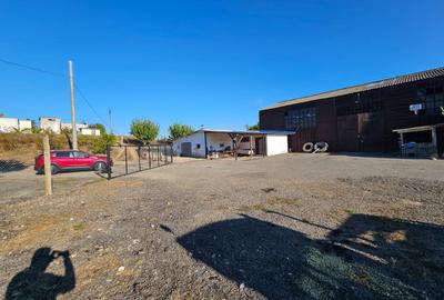 Teren Construcții extravilan de 12000 mp, în Smârdan