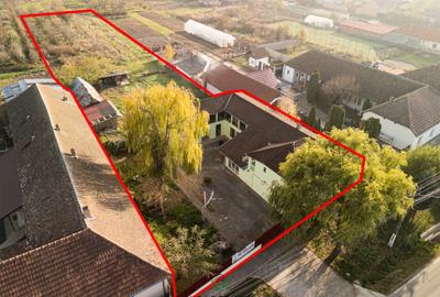 COMISION 0% I Casă + Teren - 3.763 mp I Peciu Nou - str. Principală. - 31
