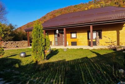 Exclusivitate! Colt de Rai: Casa arhitectura deosebita, cu acces direct la rau, - 2