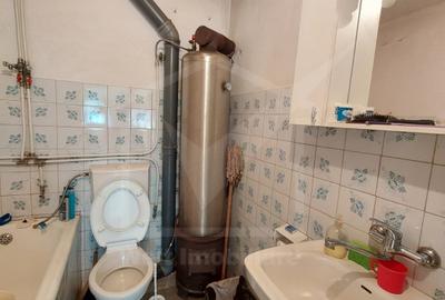 Casa tip duplex cu gradina si anexe, teren, 800 mp, Belis - 9