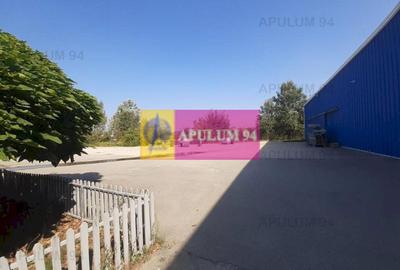 Spatiu Logistic langa Bucuresti Hala 5000 mp - 22