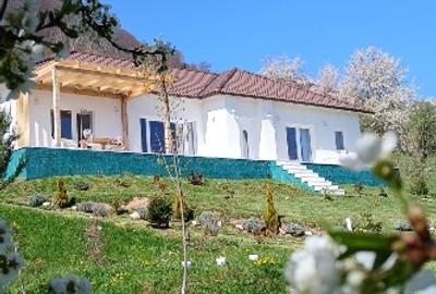 Proprietate speciala in Bran-Predelut cu 2 case, priveliște panoramica 180* - 16