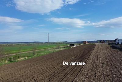 Teren Intravilan 3498 mp Tisauti  Suceava 0727817187 - 6