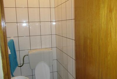Vanzare imobil locuit + sp. productie Baneasa-Centura Odai-VOLVO, teren 1437 mp - 49