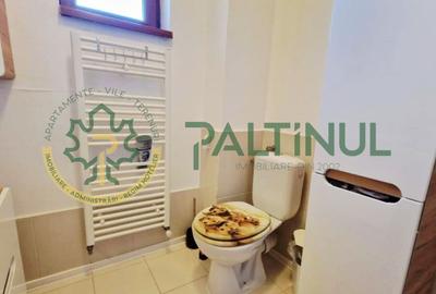 Casa moderna 3 camere de inchiriat – Cartierul Arhitectilor, Sibiu - 10