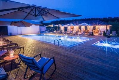 REV2004326 Vila Complex Privat Lidl Snagov - Piscina - 5