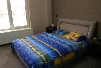 Vila 456mp utili  zona Plantelor - 12