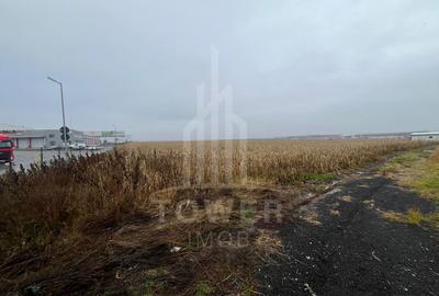 Teren Intravilan | Zona Industriala Vest | 20.663 mp - 9