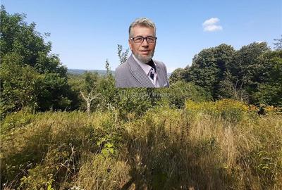 Resita Teren 5 500 Mp. Dr. Lupacului Peco Dusan - 1