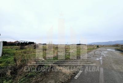Teren intravilan | De vanzare | 5500 mp | 20 ml deschidere | Sebes - 1