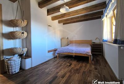 Casa rustica, exclusivista, 5 camere, 170 mp utili, 550 mp teren, Salicea - 20