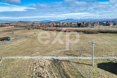 Teren 3.120 mp cu potențial de dezvoltare – Săcele | Posibilitate PUZ - 13