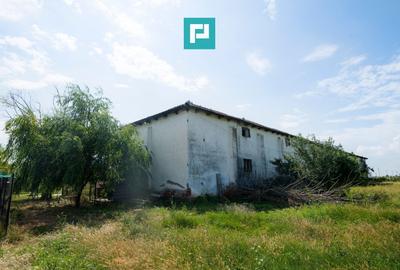 Hală industrială cu teren generos în Zărand, Arad - 12