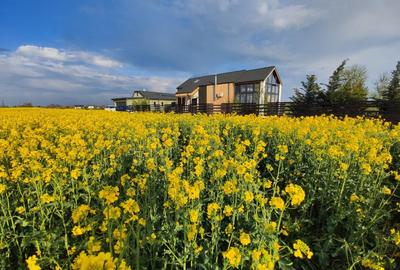 Teren Construcții intravilan de 700 mp, în Ciolpani