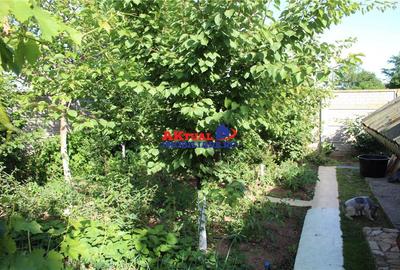Tartasesti/ Vila 4cam-190mp-teren 755mp - 17