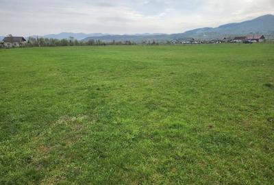 Vand teren - 5