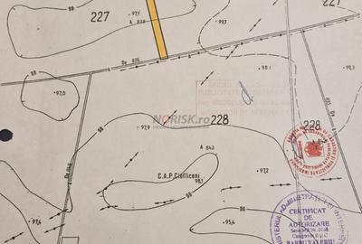 Teren extravilan | Tâncăbești | 5000mp - 2