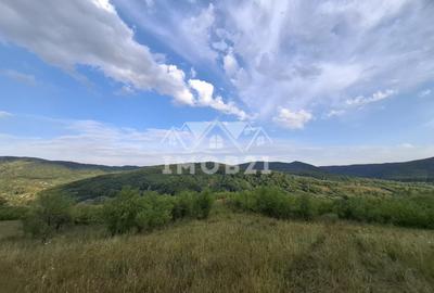 Teren spectaculos cu padure, livada si priveliste panoramica in Soimari PH - 1
