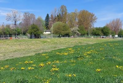 Teren Campina varful Muscel - 3