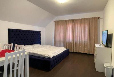 Busteni-Apartament cu doua camere -special - 7
