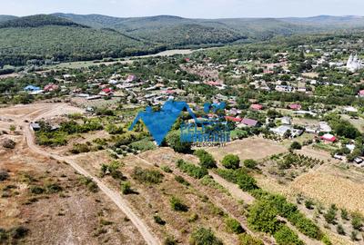 Casa cu teren in Telita - 3549MP - zona foarte frumoasa - 18