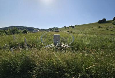 Teren construibil in proximitatea pensiunii ”La Mesteceni” - 4