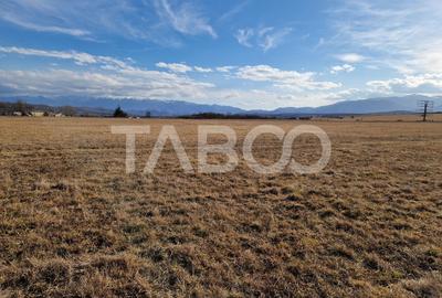 Teren de vanzare 1088 mp extravilan  Selimbar  zona Sopa Sibiu - 5