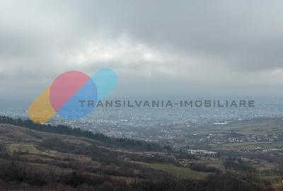 Teren extravilan 1000 mp, Valea Fanatelor - 5