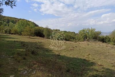 Teren  42,200 mp (4,22 hectare)-Parcelabil-investitie-Valea Jelnei - 2
