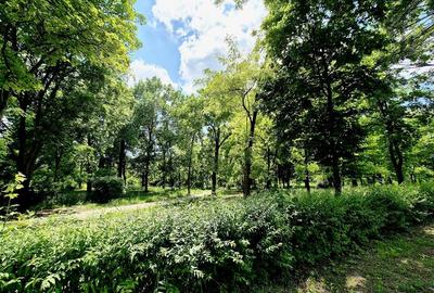 Apartament 3 Camere Luminos si cu Vedere Frumoasa - 17