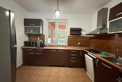 Casa de inchiriat in Santandrei, cu piscina si sauna, Bihor - 12