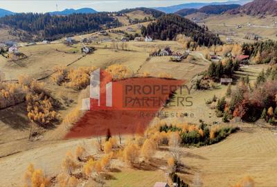 Teren cu PUZ aprobat Fundata / priveliste superba - 1