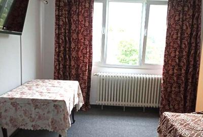 Garsoniera, decomandata, pet friendly, zona Brancoveanu - Secuilor - 3
