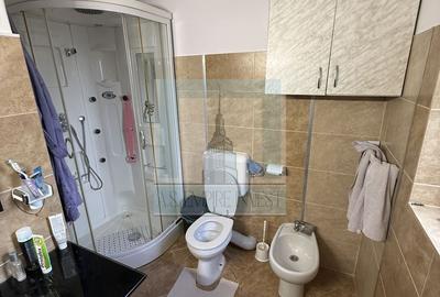 Casa/vila P+E+M, individuala ,730 mp teren-Timișul de jos/Dâmbul Morii - 24