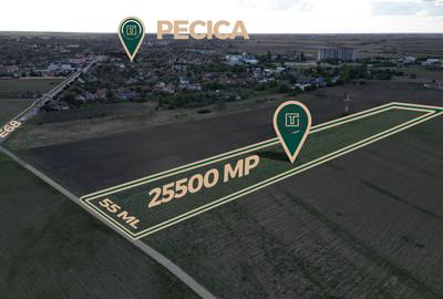 Teren intravilan cu poțențial de 25500 mp in Pecica - 1