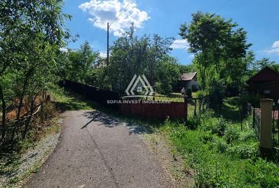 CASĂ LA ȚARĂ, SÂMBOLENI, COMUNA CAMARAȘU - 17