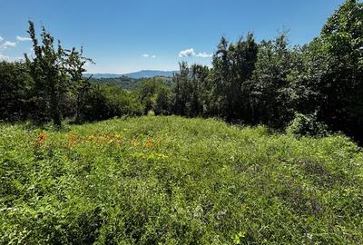 Teren doua loturi 3100 mp. - 2800 mp. Dăesti - Valcea - 17