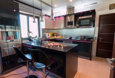 Penthouse parc Herastrau sos Nordului + 400 mp curte cu piscina - 9