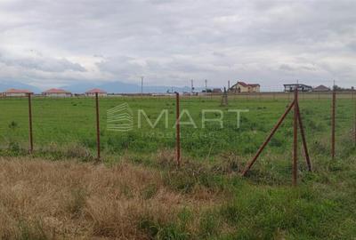 Teren  intravilan cu PUZ 30.000 mp Prejmer - 3