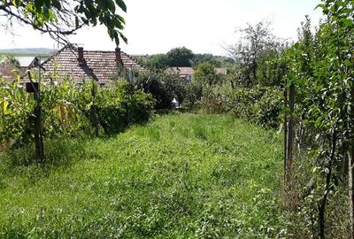 Casă independentă de vânzare - 10