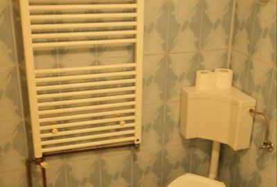 Tartasesti – casa si teren 2.000 mp de vanzare - 10