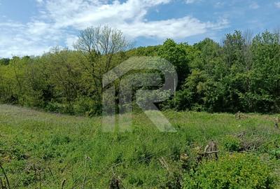 Teren Construcții intravilan de 1807 mp, în Cocorăștii Mislii